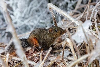 传《蝙蝠侠》新游开发中 基于新《蝙蝠侠》电影改编